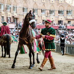 palio 2022-14